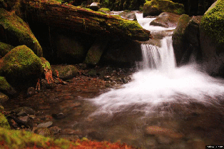 giphy waterfall